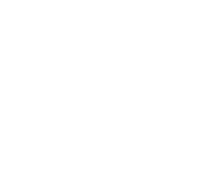 vishay.png